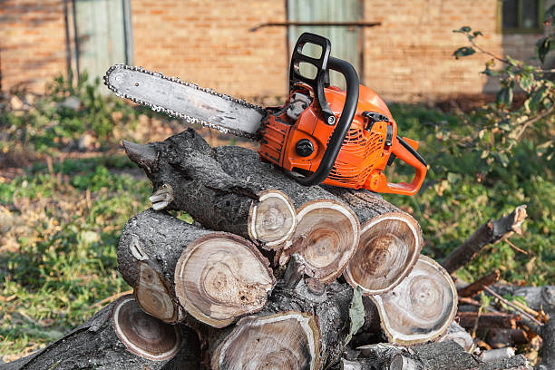 Tree Removal for Businesses in Lesslie, SC